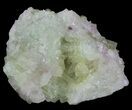 Sparkly Vesuvianite - Jeffrey Mine, Canada #64072-1